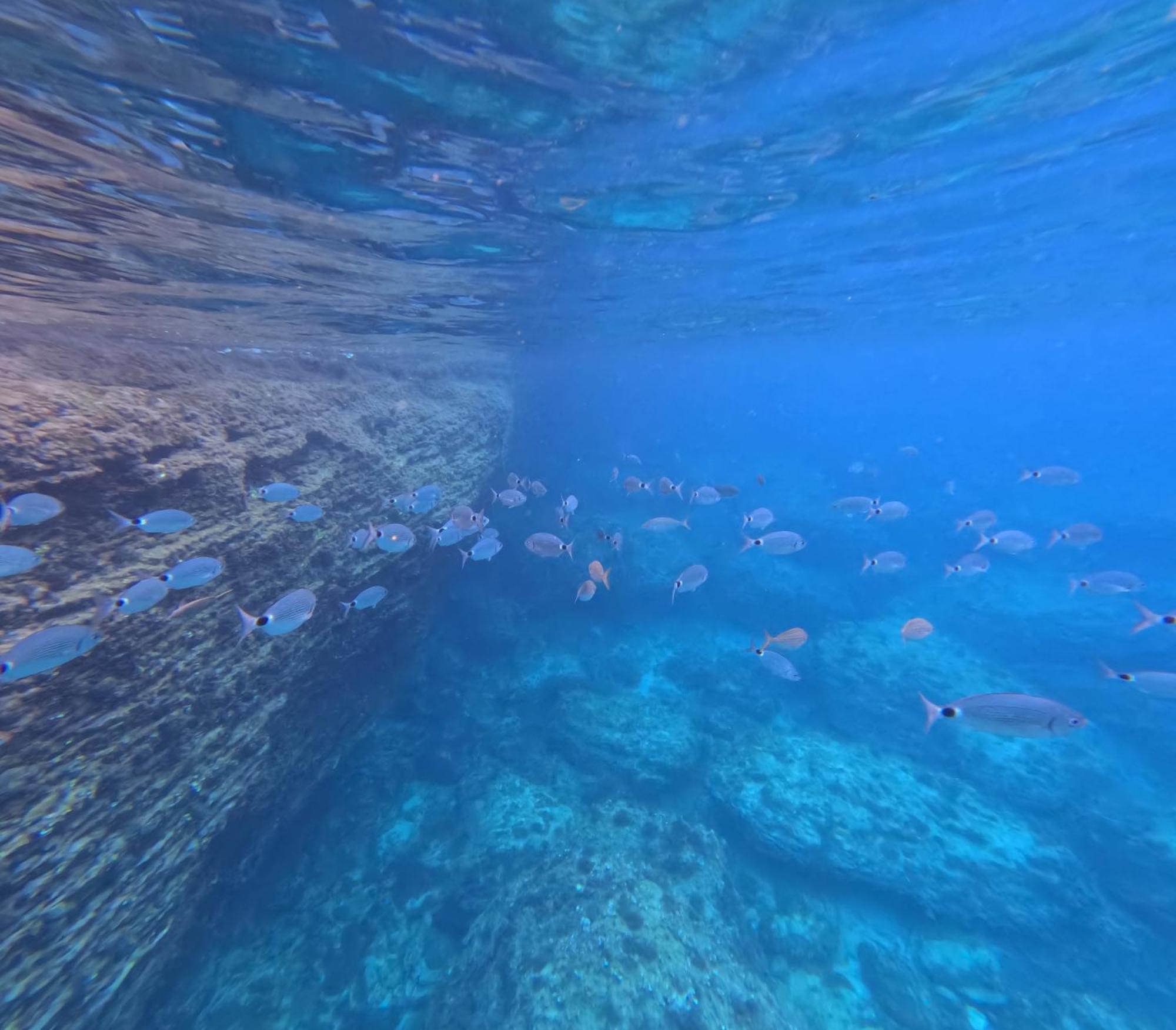 Entre Ciel Et Mer Hotel โบนิฟาซิโอ ภายนอก รูปภาพ